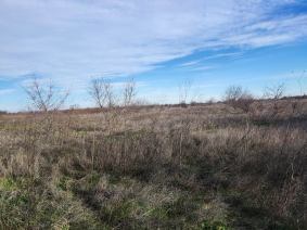 Парцел в село Соколово, 741кв.м. снимка 1