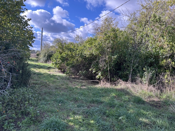 Дворно място и сграда 5кв.м в село Стаевци снимка 1