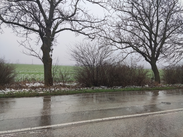 Парцел в град Добрич 6000кв.м. снимка 3